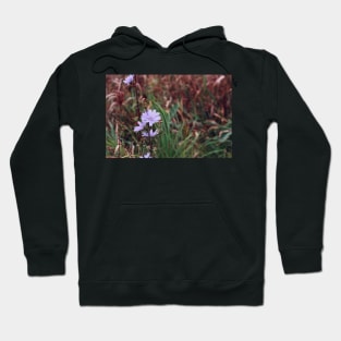 Chicory Flower Hoodie